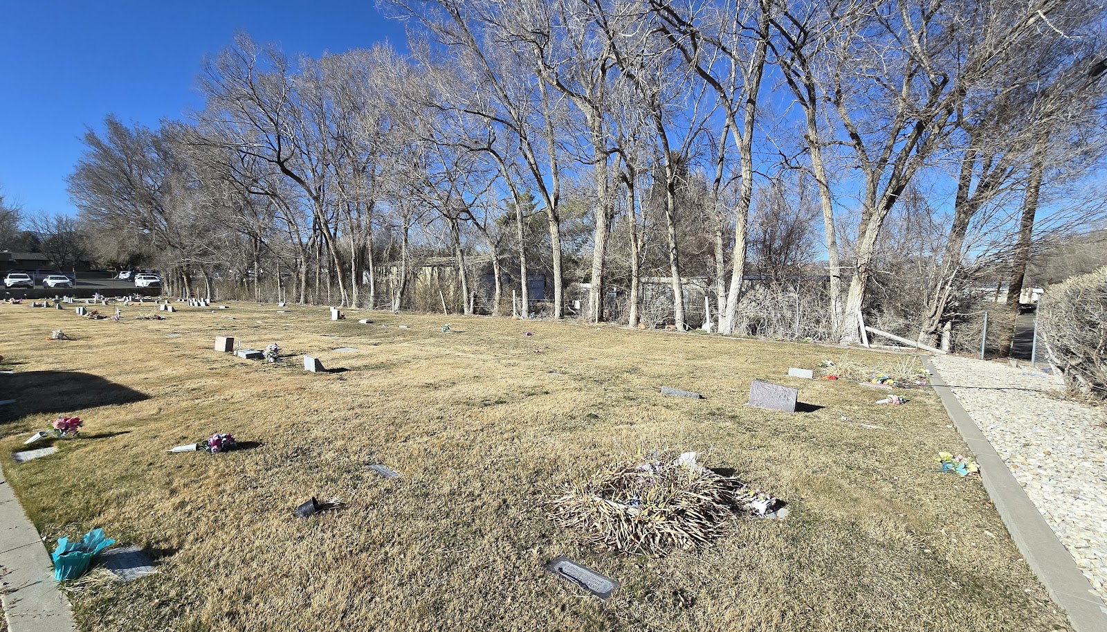 Elko County Cemetery cemetery grounds and headstones