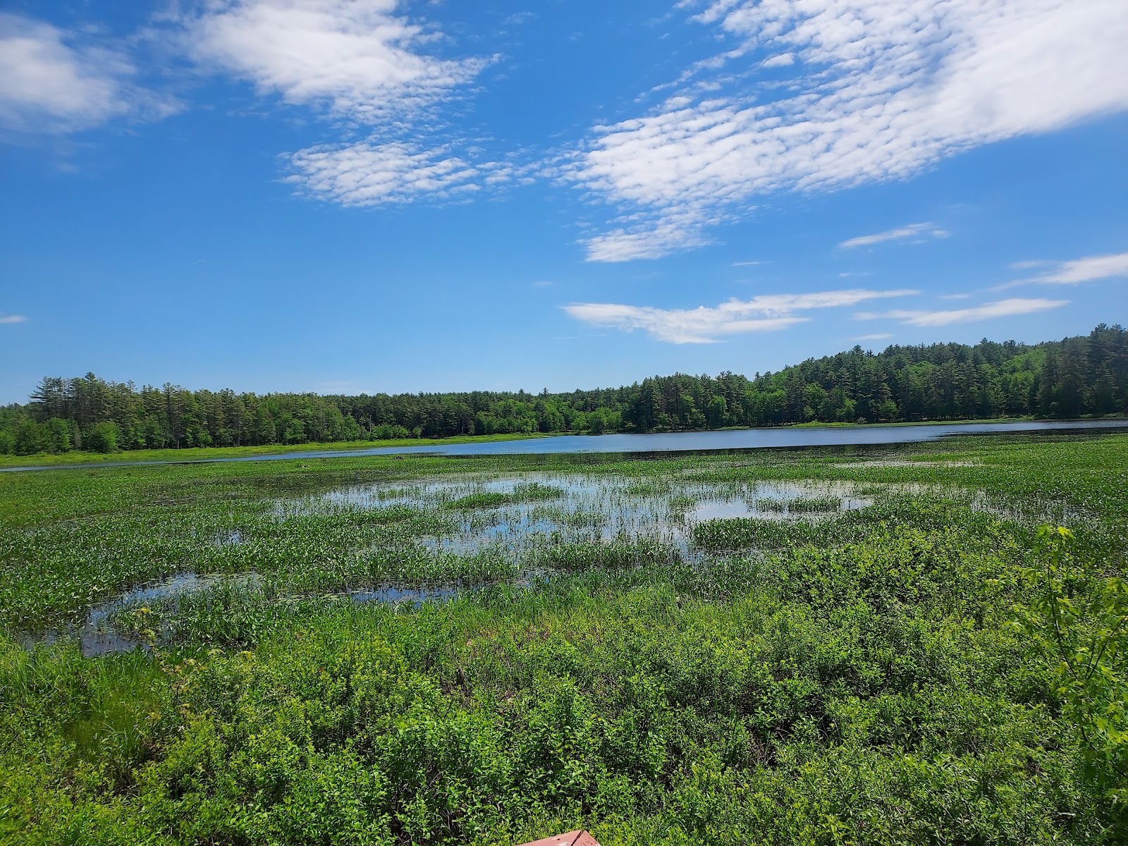 Elm Brook Park