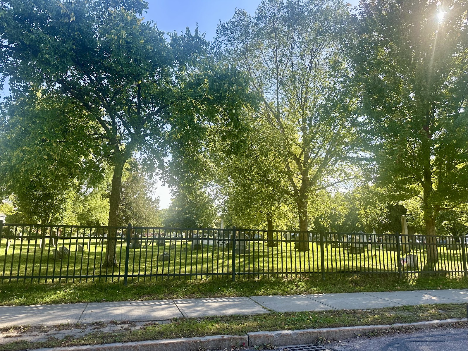 Elmwood Cemetery headstone and grounds