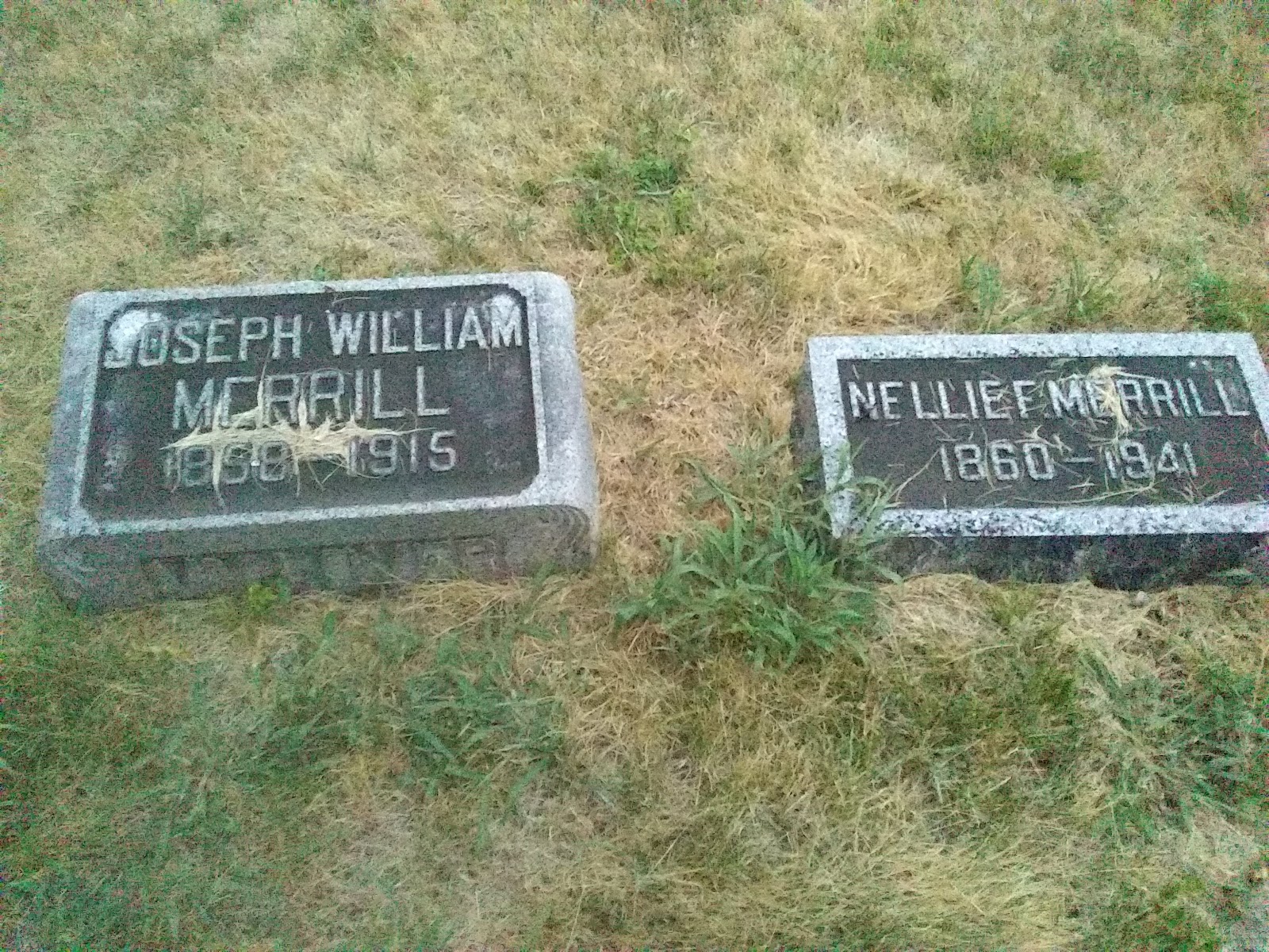 Elmwood Cemetery