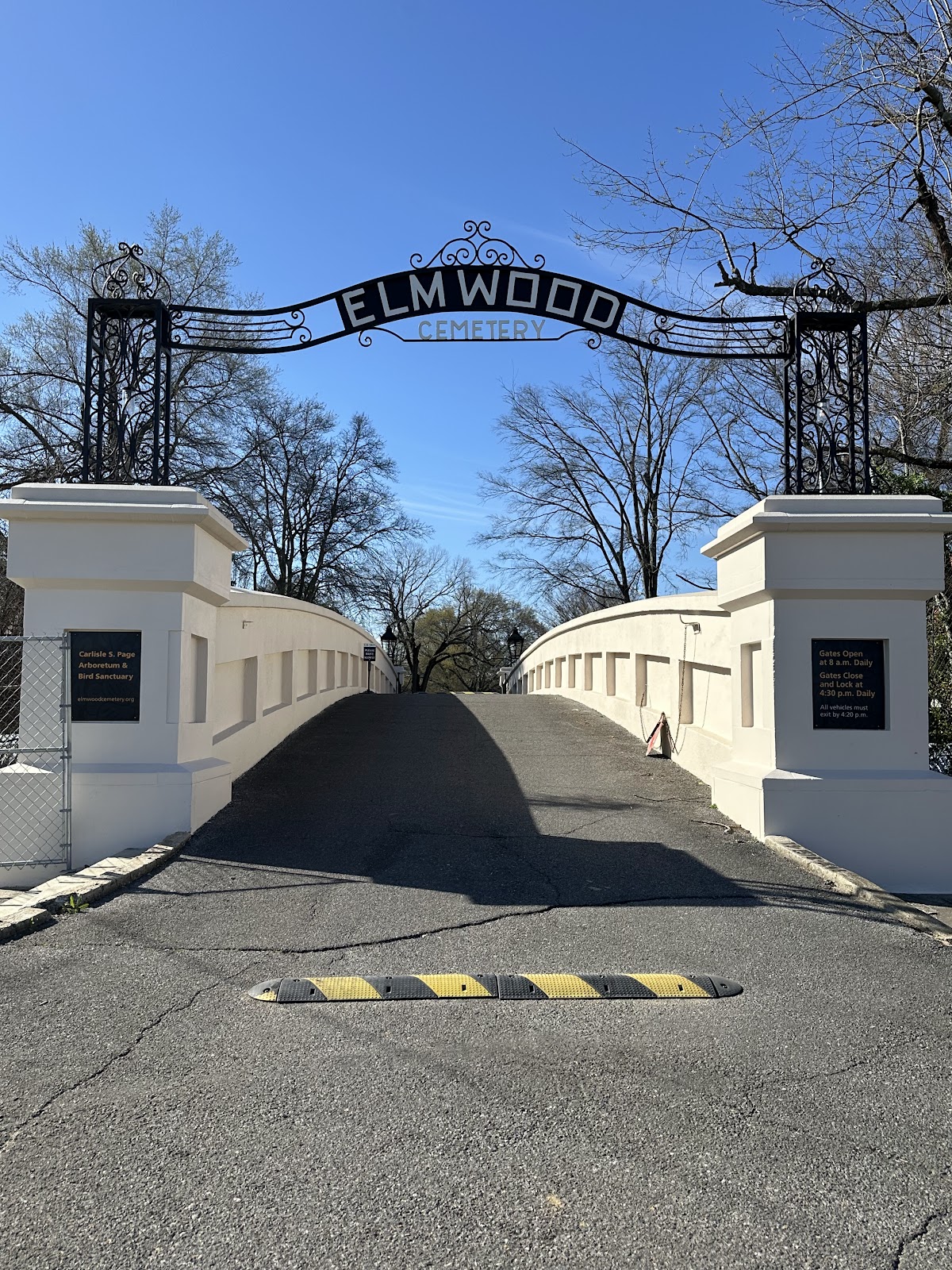 Elmwood Cemetery cemetery grounds and headstones