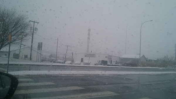 Elsmere grounds
