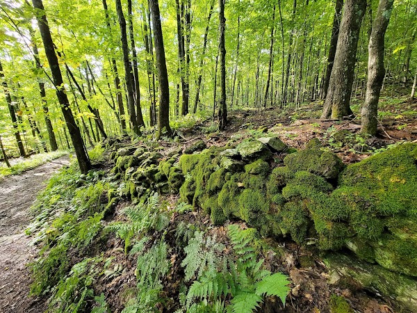 Emerald Lake State Park grounds
