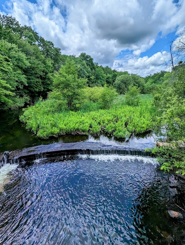 Esmond Park Conservation Area grounds