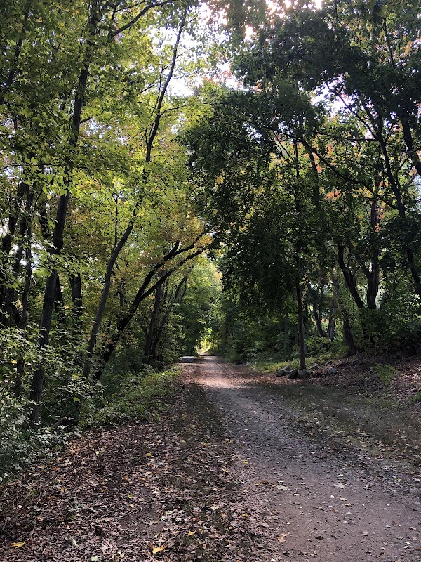 Esmond Park Conservation Area grounds