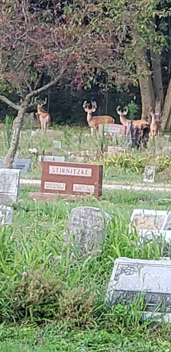 Estates of Serenity grounds