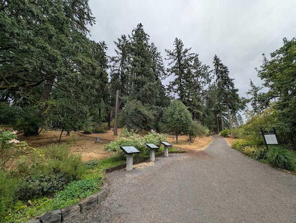 Eugene Masonic Cemetery grounds