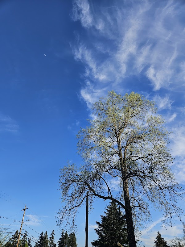 Evelyn M. Schiffler Memorial Park grounds