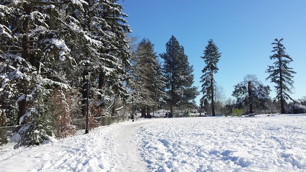 Evelyn M. Schiffler Memorial Park grounds