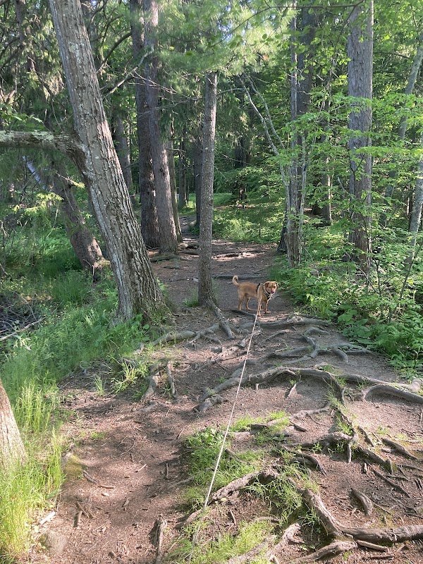 Evergreen Cemetery grounds