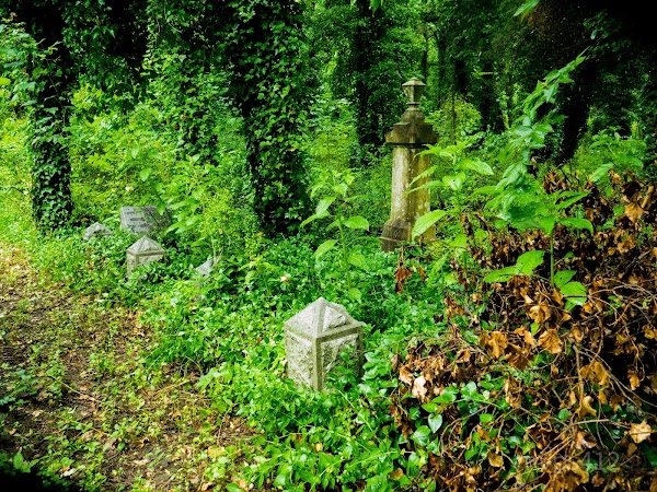 Evergreen Cemetery grounds