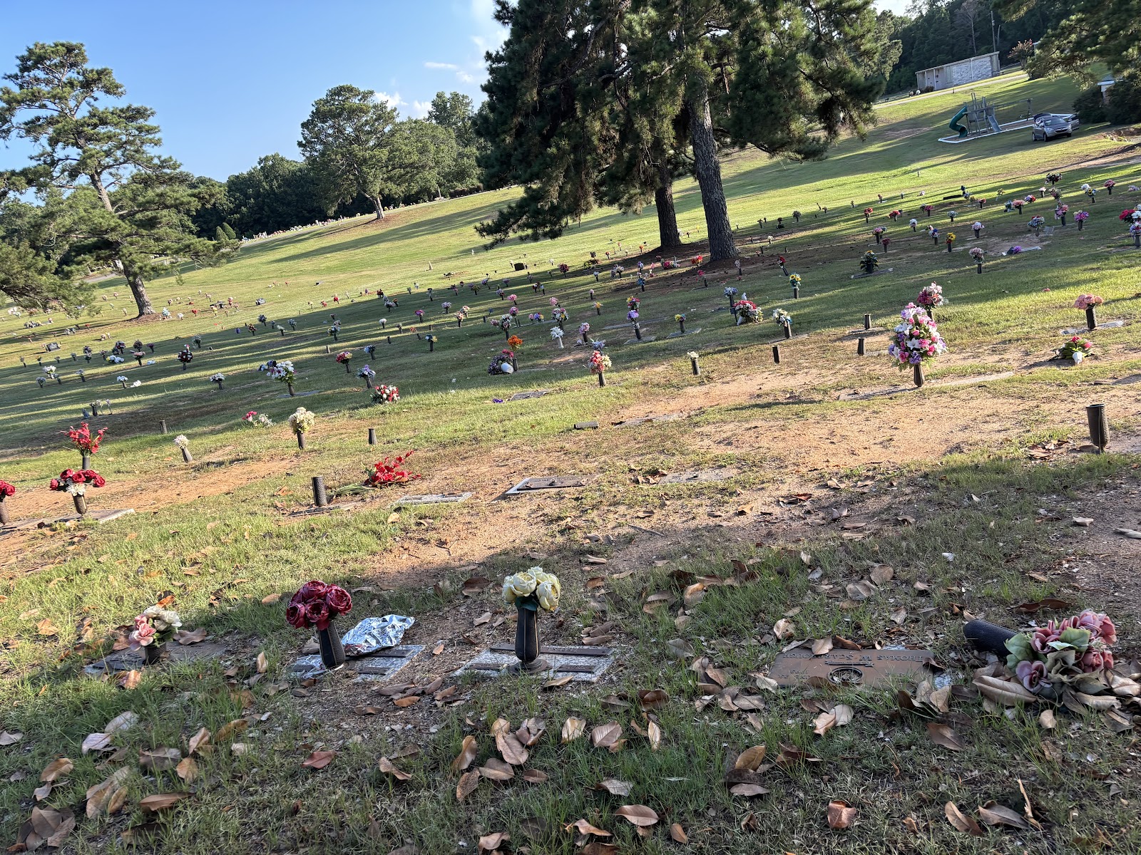 Evergreen Memorial Park cemetery grounds and headstones
