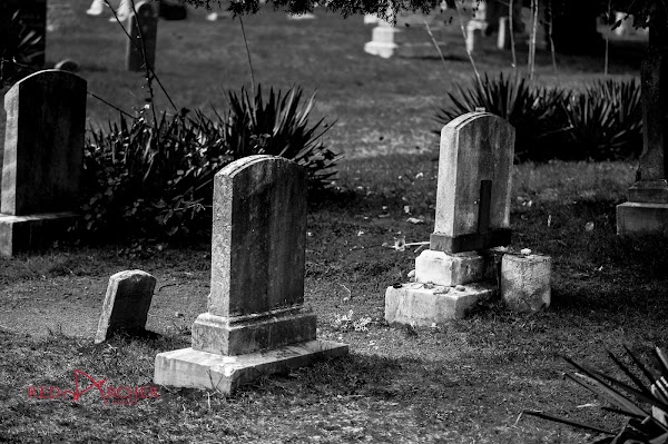 Exeter Cemetery grounds