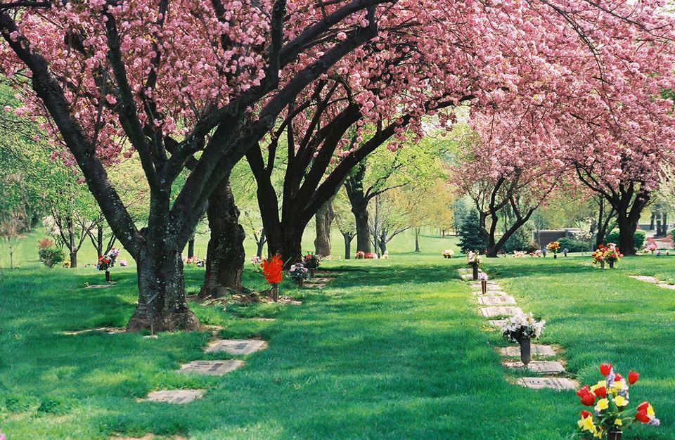 Fairfax Memorial Park