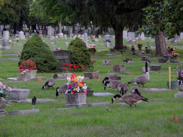 Fairplains Cemetery grounds