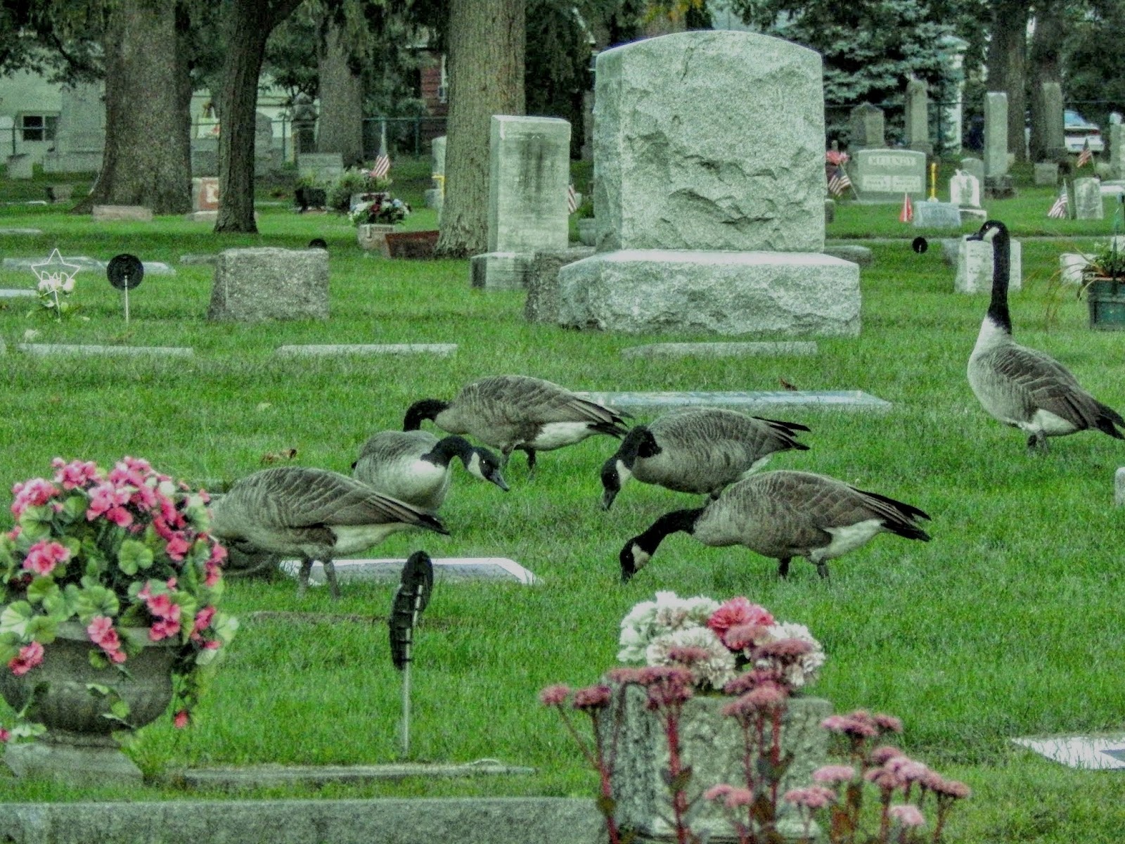 Fairplains Cemetery cemetery grounds and headstones
