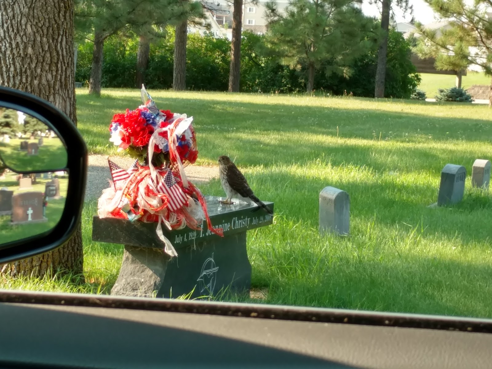 Fairview Cemetery cemetery grounds and headstones