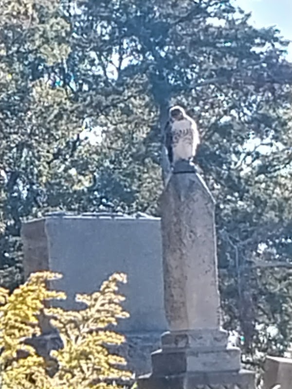 Fairview Cemetery grounds