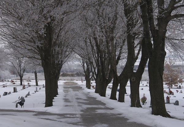Fairview Cemetery grounds