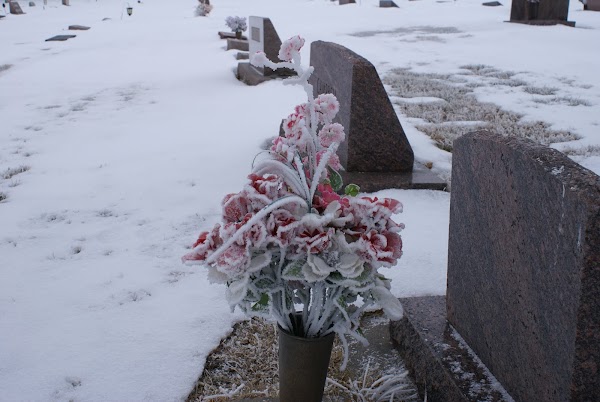 Fairview Cemetery grounds