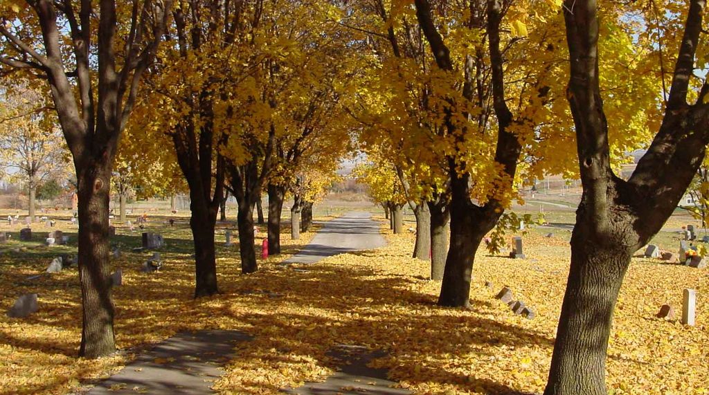 Fairview Cemetery cemetery grounds and headstones