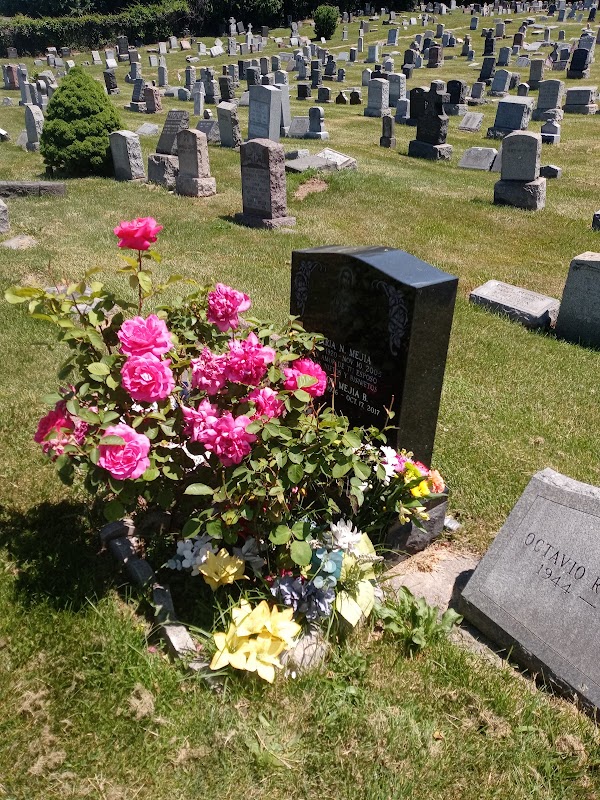 Fairview Cemetery grounds