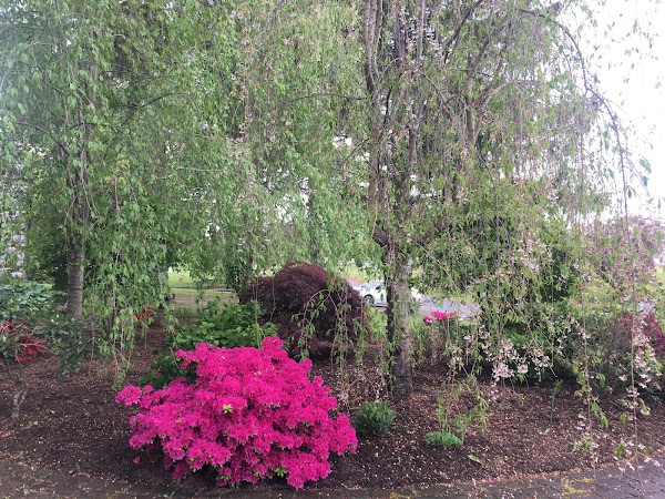 Fairview Cemetery grounds