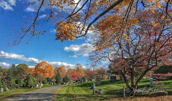 Fairview Cemetery grounds