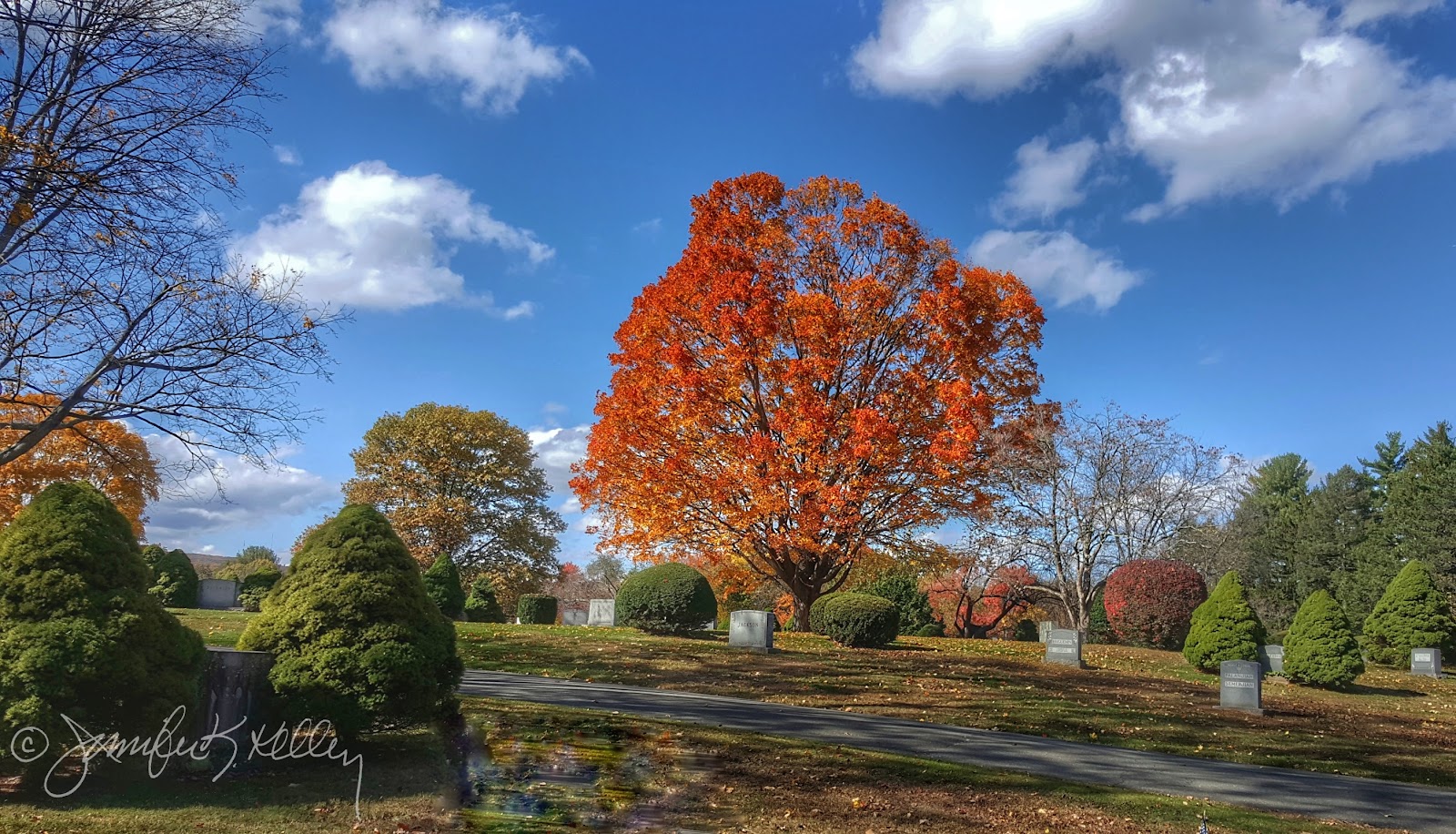 Fairview Cemetery cemetery grounds and headstones
