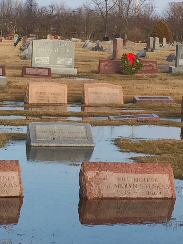 Ferndale Cemetery grounds