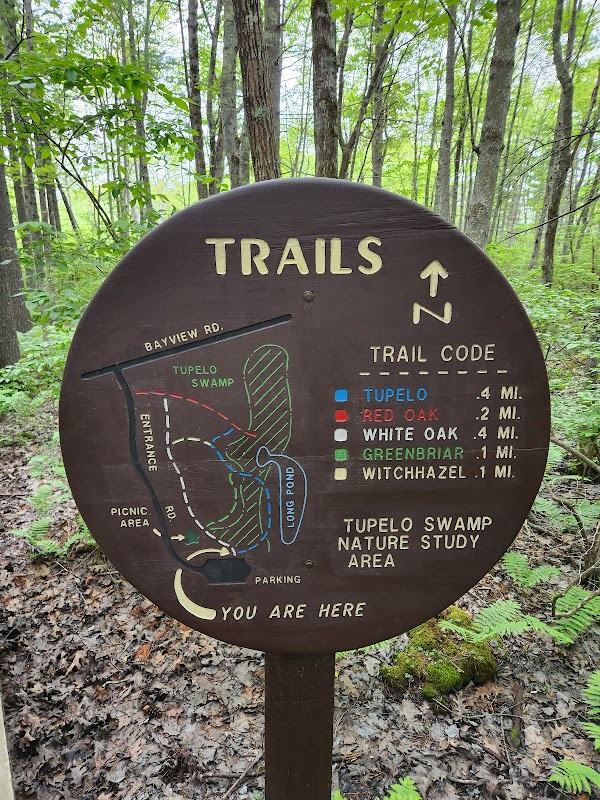Ferry Beach State Park grounds