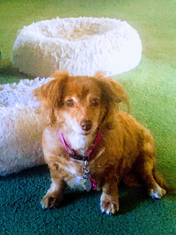 Final Gift Pet Memorial Center grounds