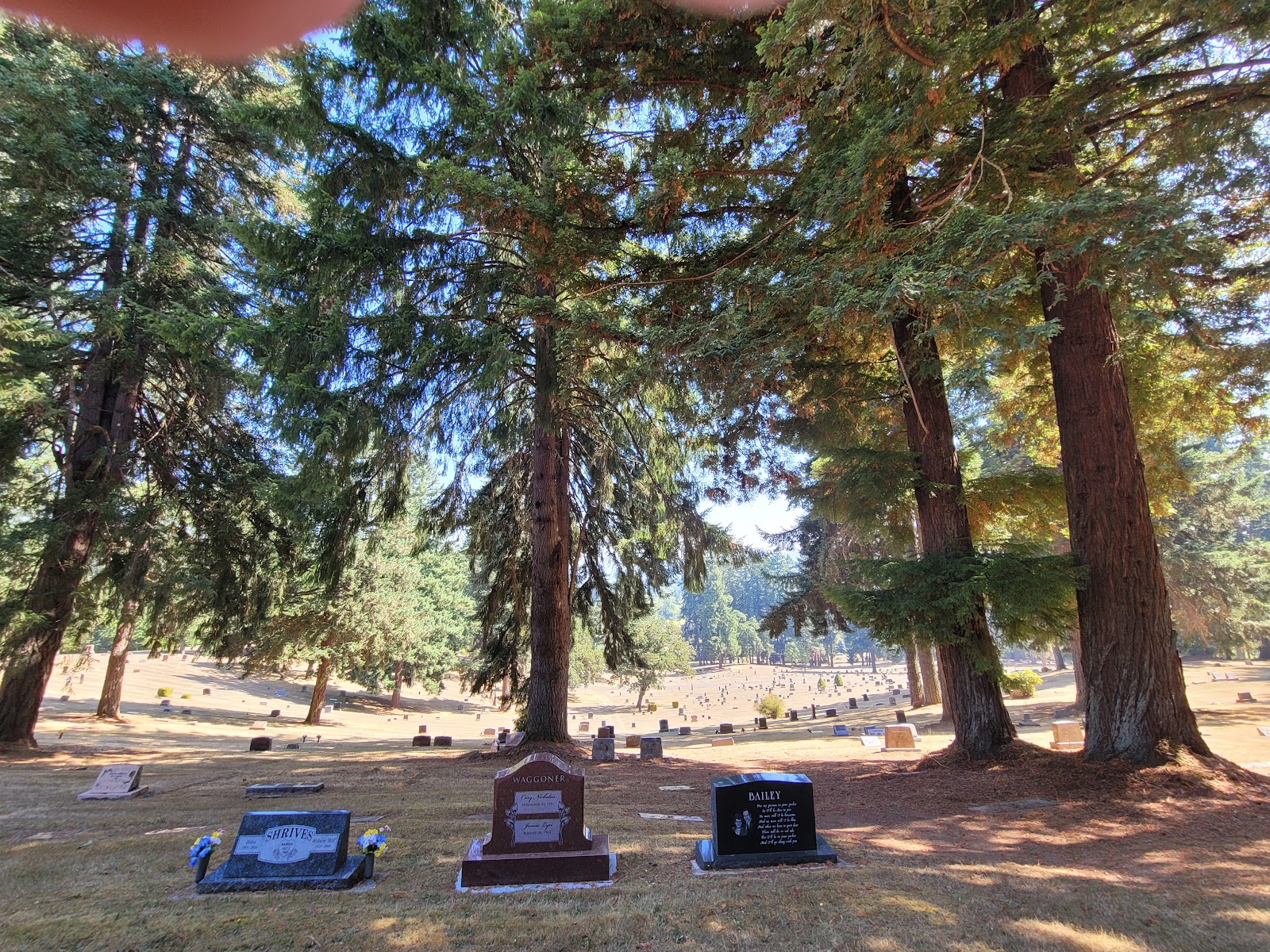 Fir Grove Cemetery cemetery grounds and headstones