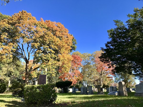 Flushing Cemetery grounds