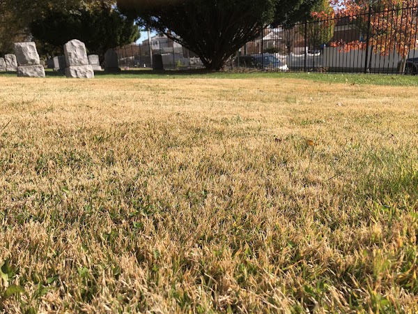 Flushing Cemetery grounds