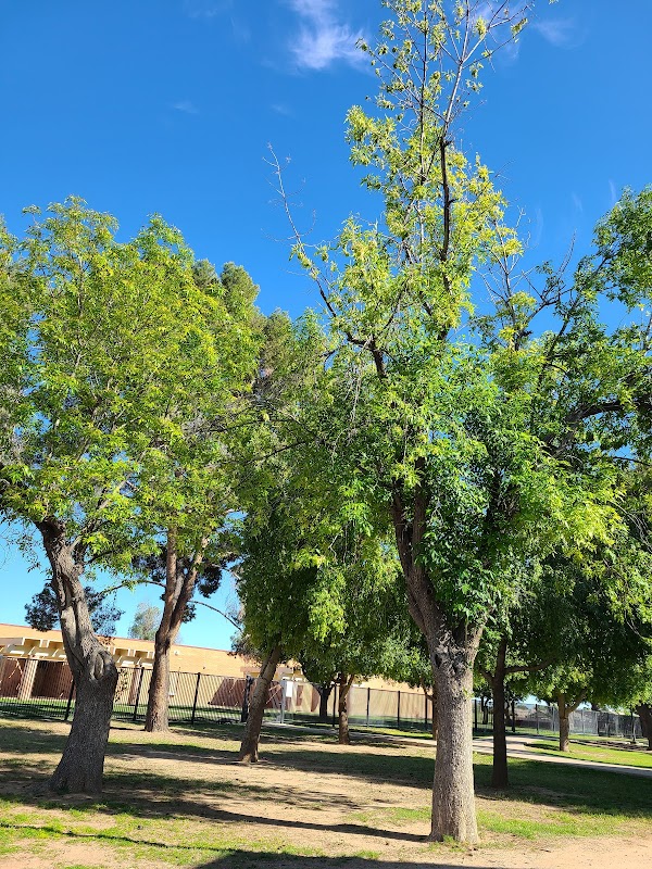 Folley Memorial Park grounds
