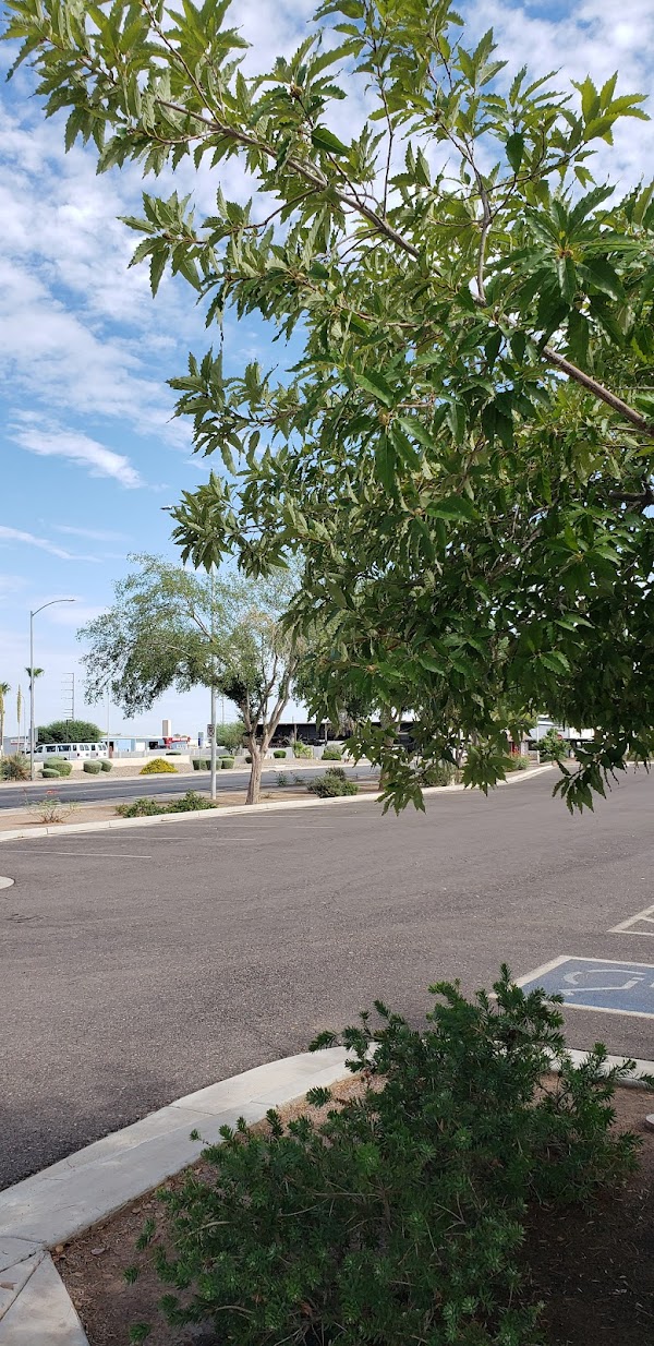 Folley Memorial Park grounds