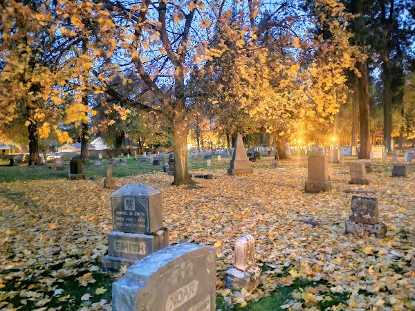 Forest Cemetery grounds