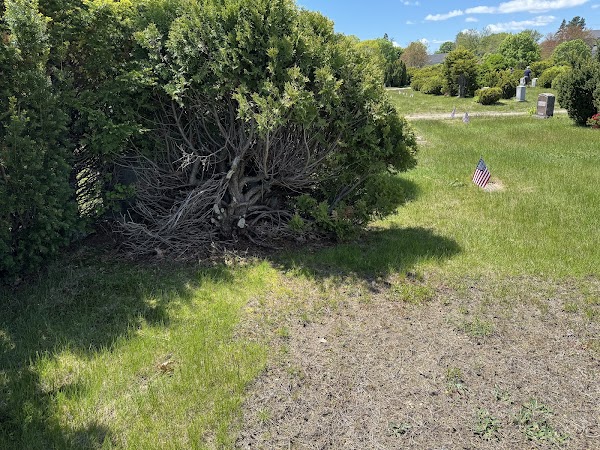 Forest City Cemetery grounds