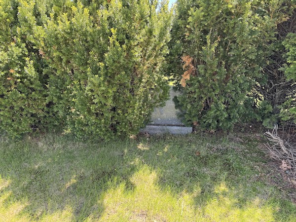 Forest City Cemetery grounds