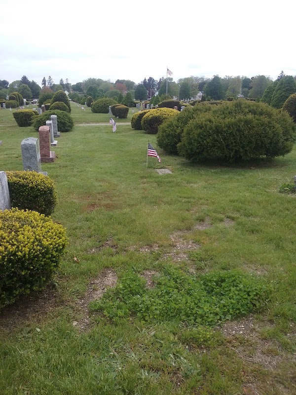 Forest City Cemetery grounds