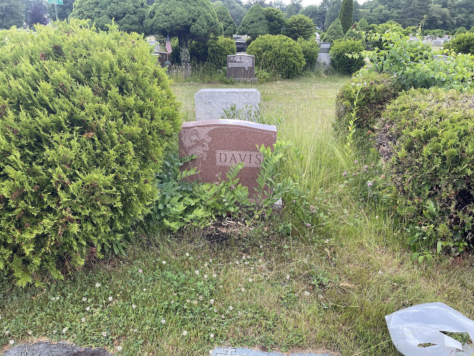 Forest City Cemetery cemetery grounds and headstones