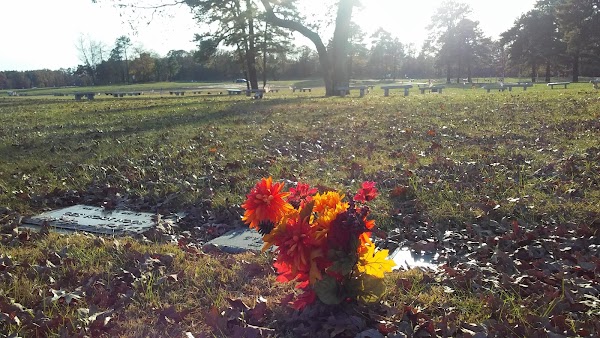Forest Green Park Cemetery grounds
