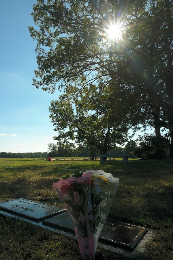 Forest Green Park Cemetery grounds