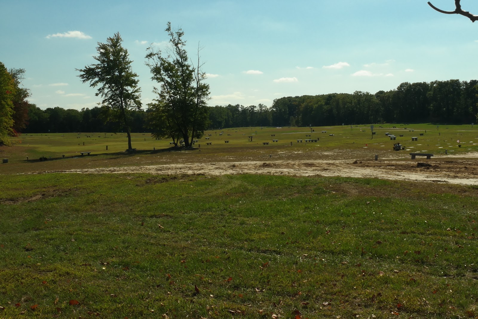 Forest Green Park Cemetery cemetery grounds and headstones