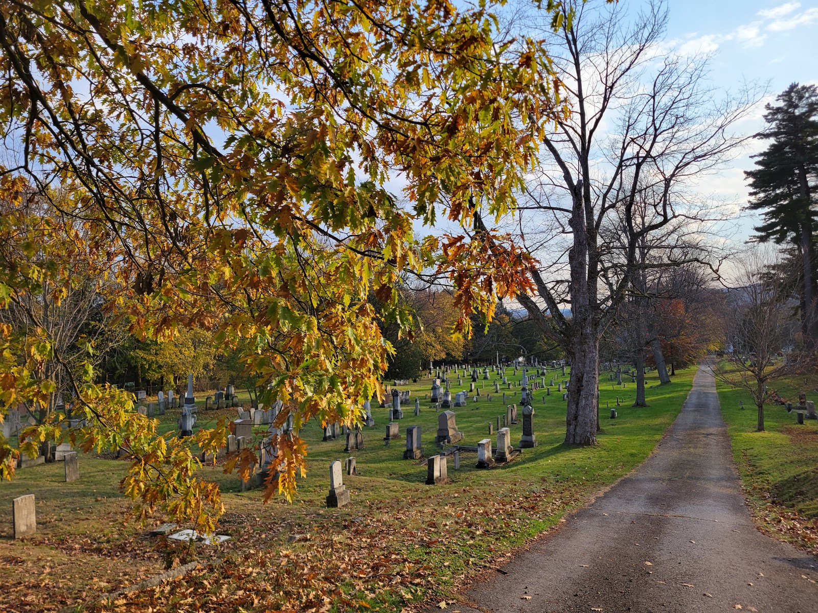 Forest Grove Cemetery cemetery grounds and headstones