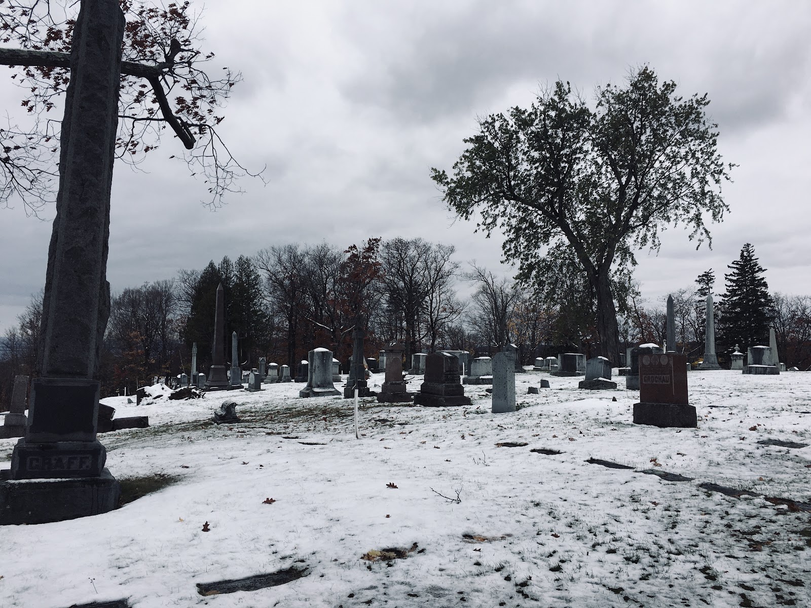 Forest Hill Cemetery cemetery grounds and headstones