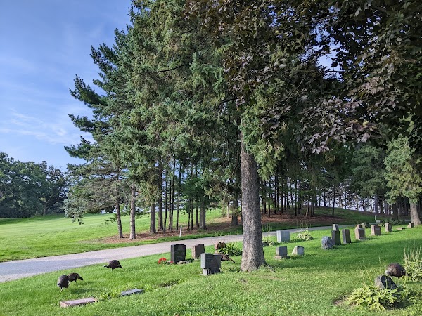 Forest Hill Cemetery grounds