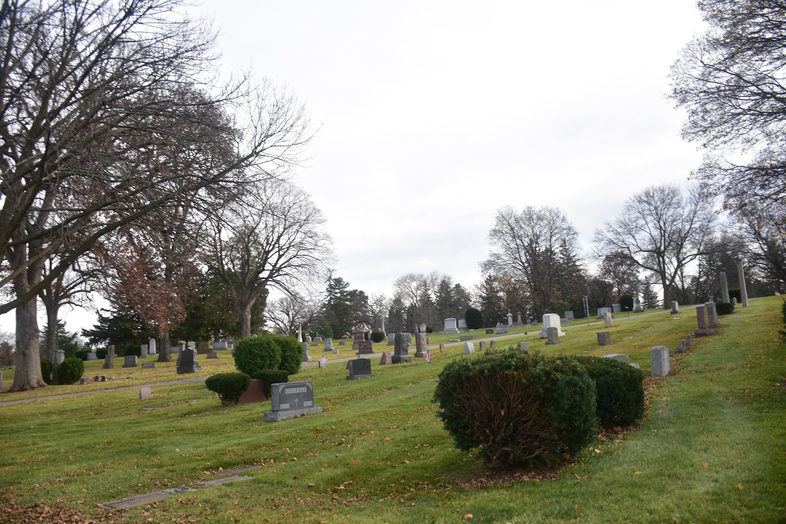 Forest Hill Cemetery headstone and grounds