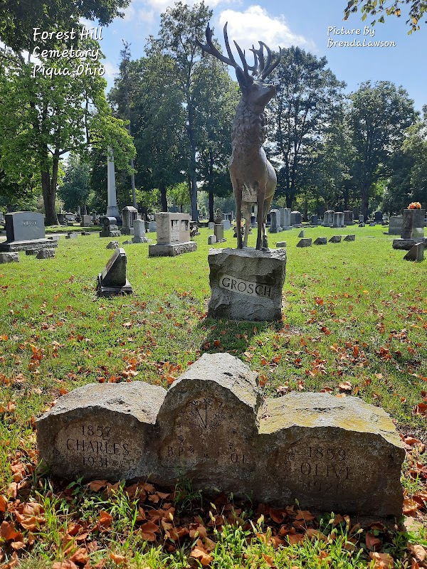 Forest Hill Cemetery grounds